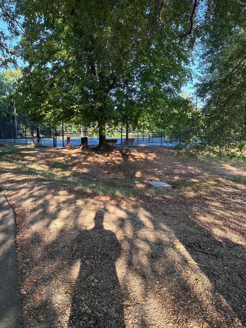 walking near me in Linway Terrace Park in autumn