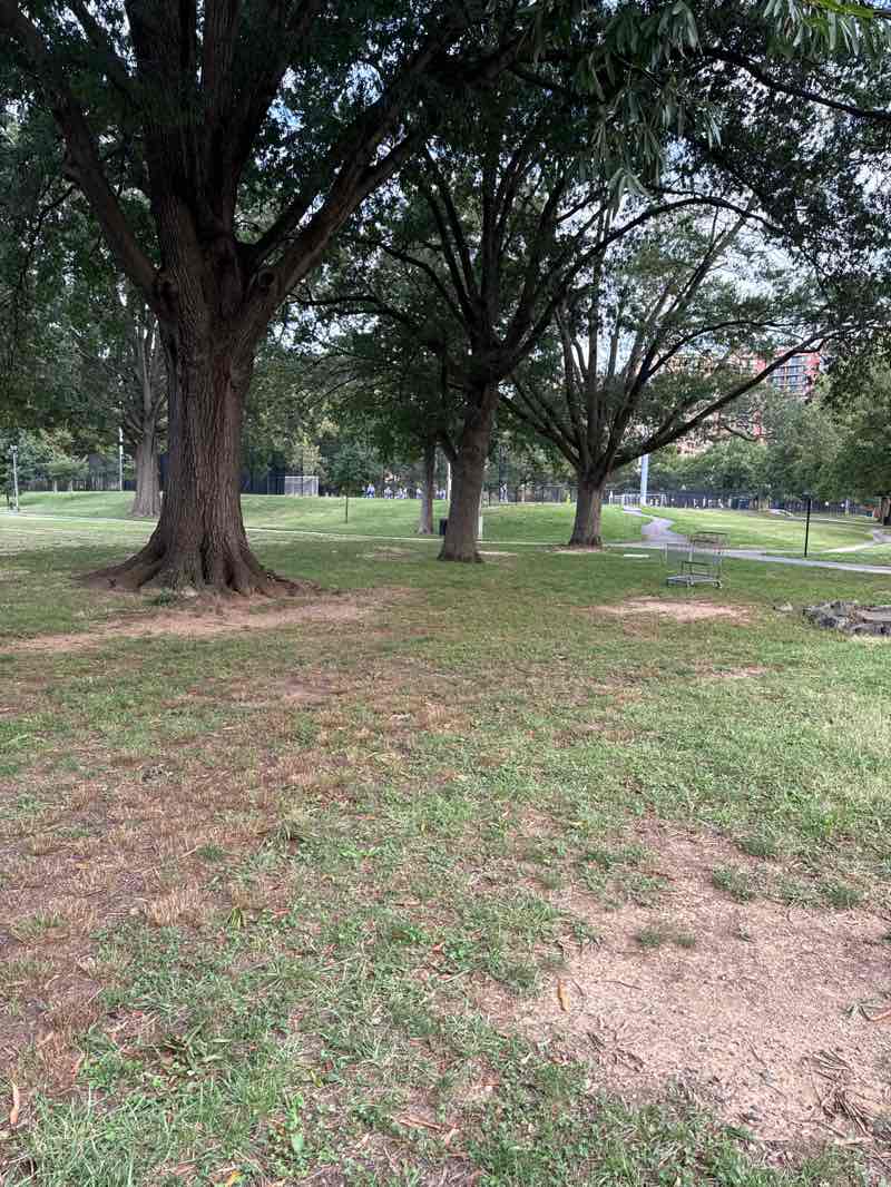 walking near me in Virginia Highlands Park in autumn