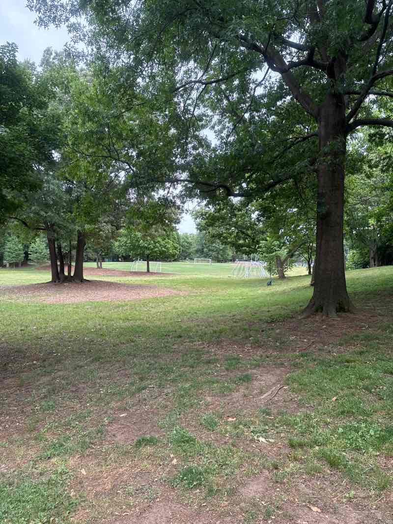 walking near me in Arlington Blvd Trail in summer