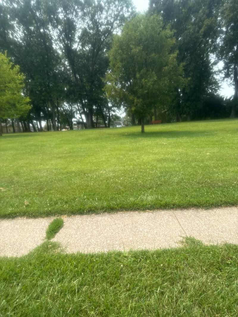 walking near me in Fullerton Memorial Playground in summer