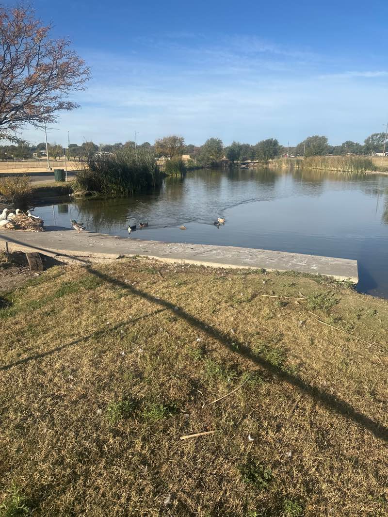 walking near me in Southeast Park in autumn