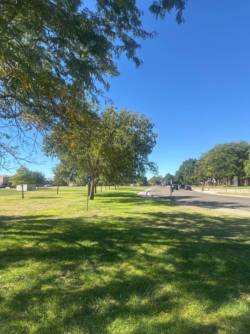 walking near me in Windsor School Park in autumn