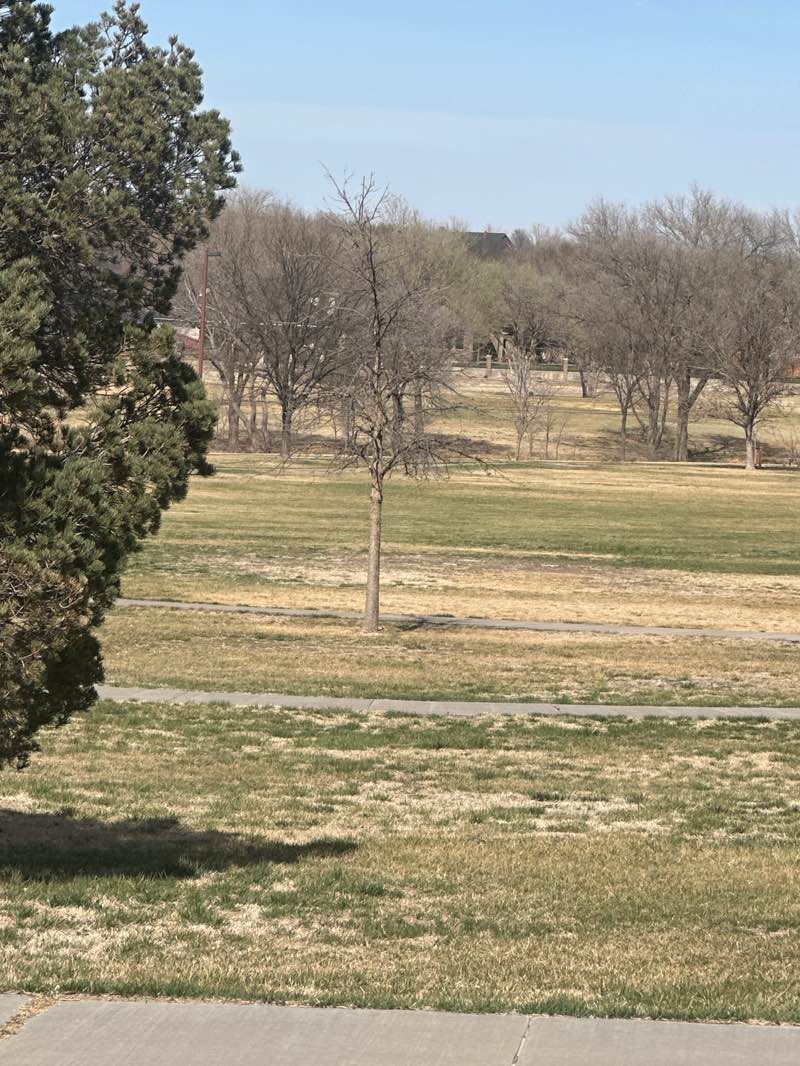 walking near me in Hunsley Park in spring