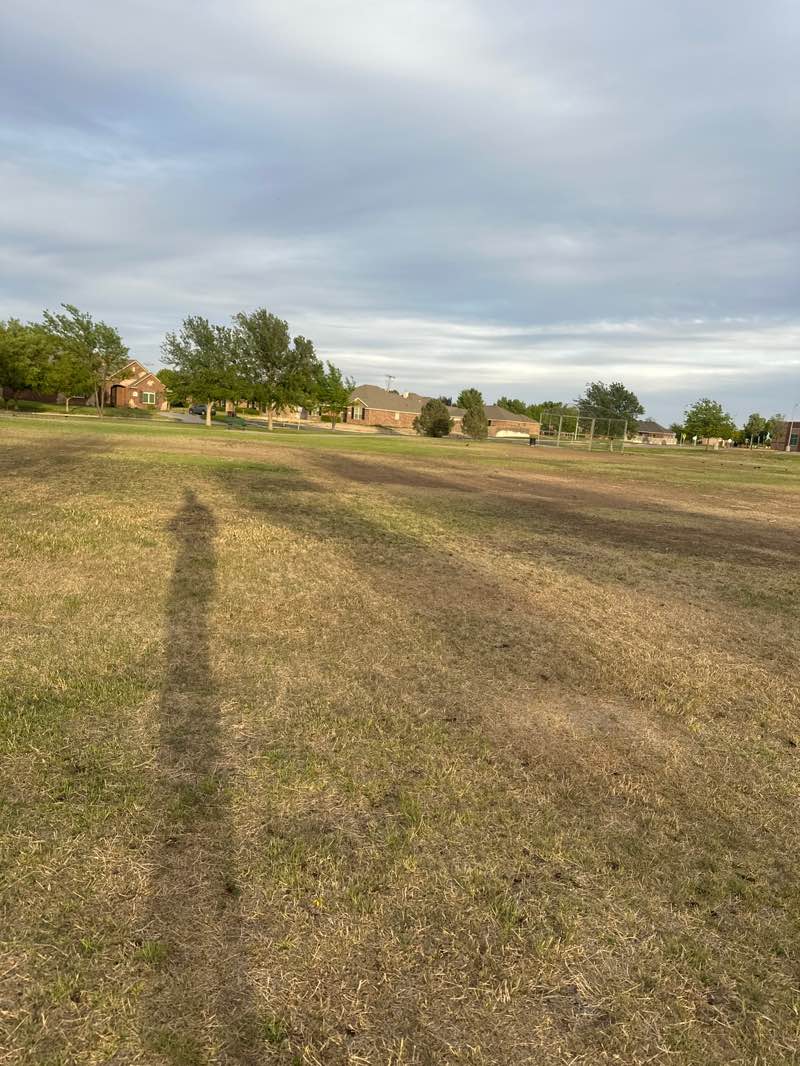 walking near me in Hillside Elementary Park in spring
