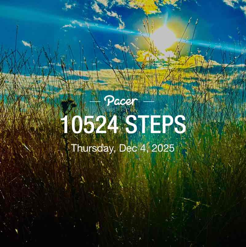 December Distance Challenge Wolf K ✌️❤️🙏🐺 post image