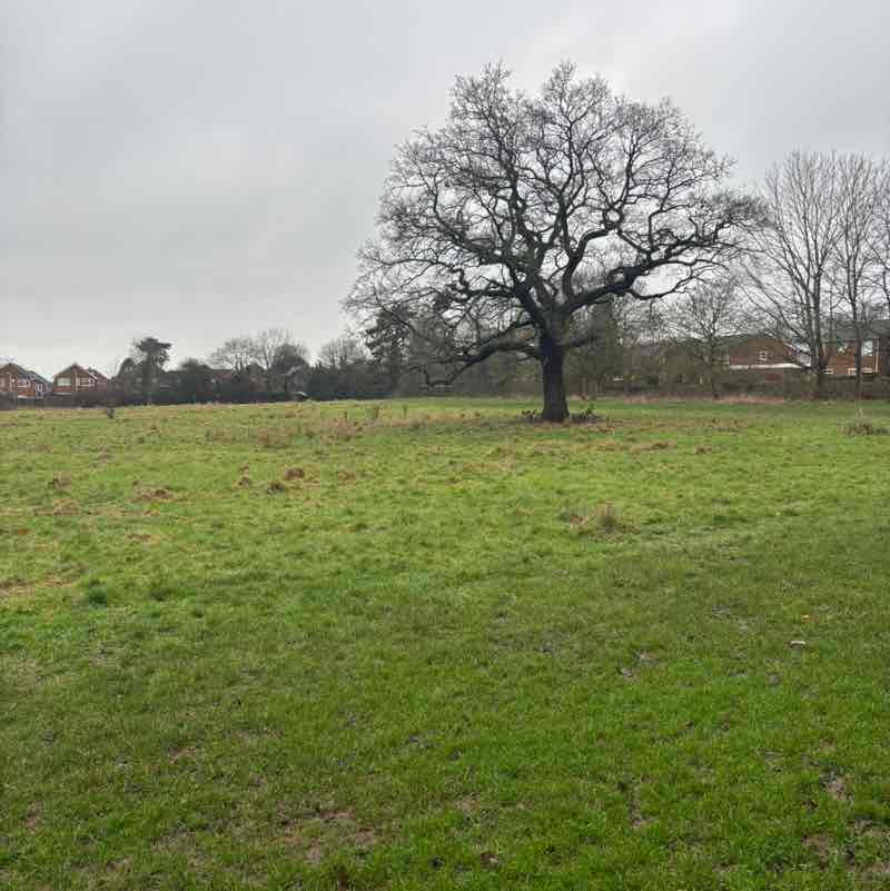 WarriorQueen💚💛❤️ post 2