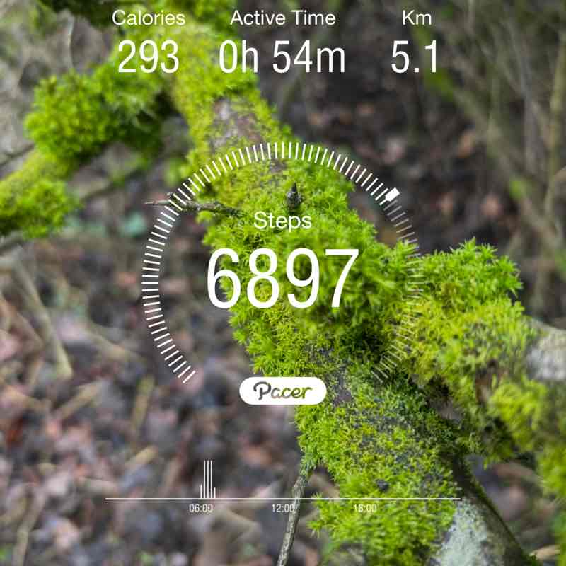 WarriorQueen💚💛❤️ post 1