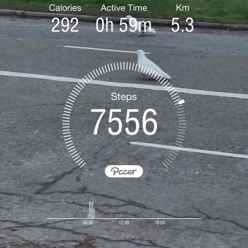 WarriorQueen💚💛❤️ post 1