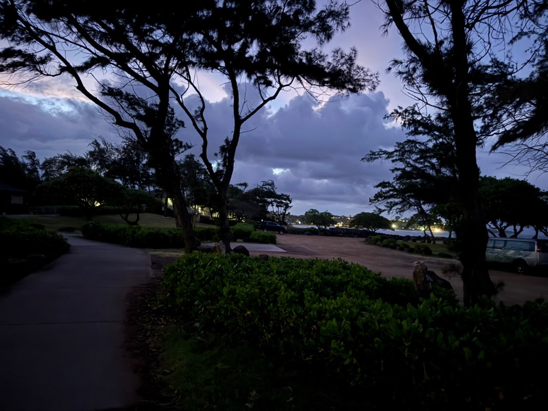 walking near me in Waipouli Park in summer