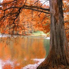 ⛵️Antonieta Diaz Fernandez🇲🇽 post 1