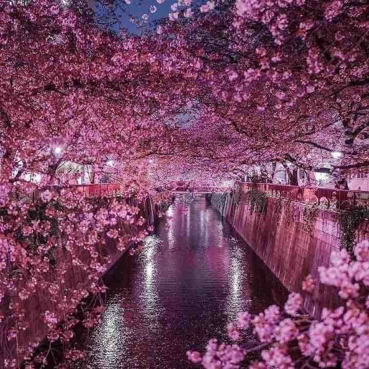 ⛵️Antonieta Diaz Fernandez🇲🇽 post 1