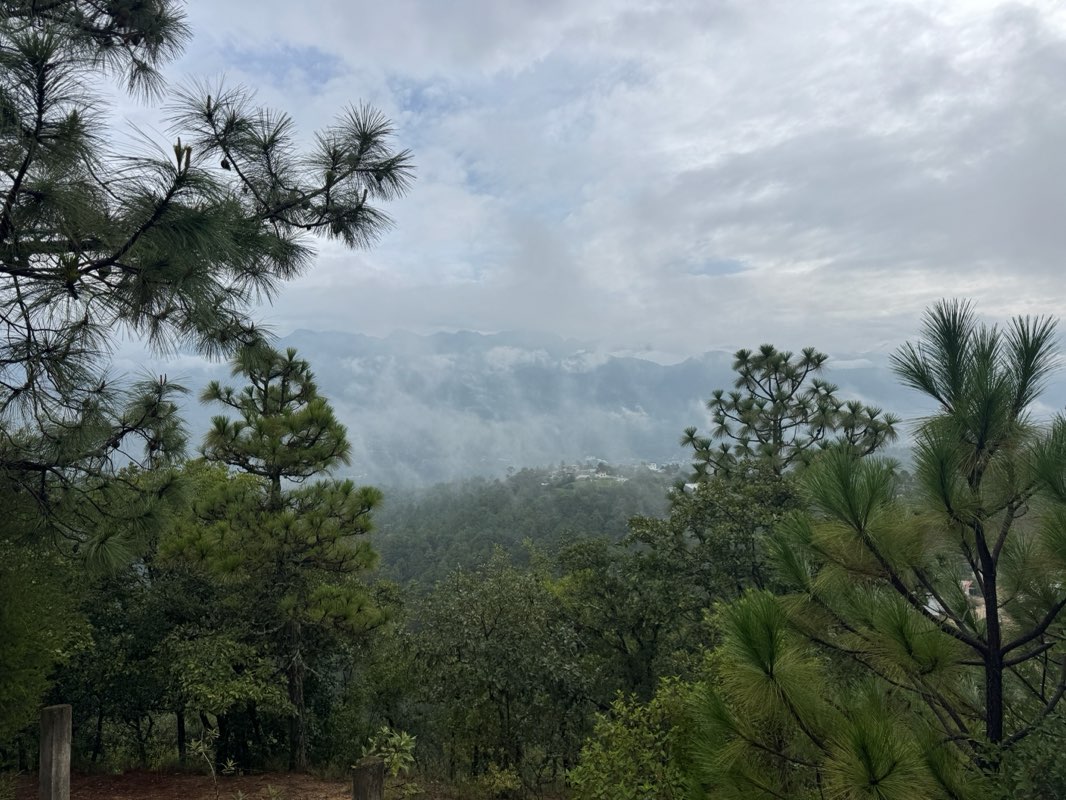 walking near me in Parque Federal in autumn
