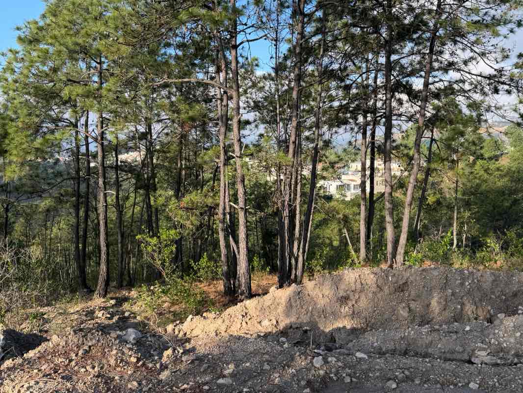 walking near me in El Calvario in winter