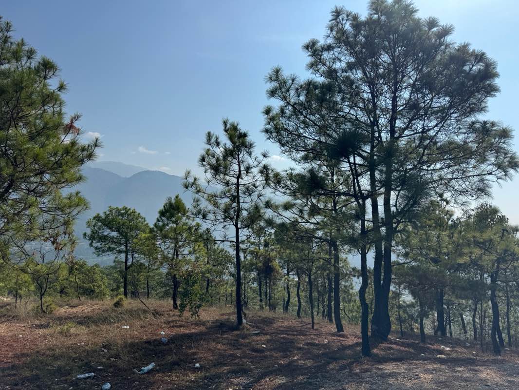 walking near me in Zaculeu in spring