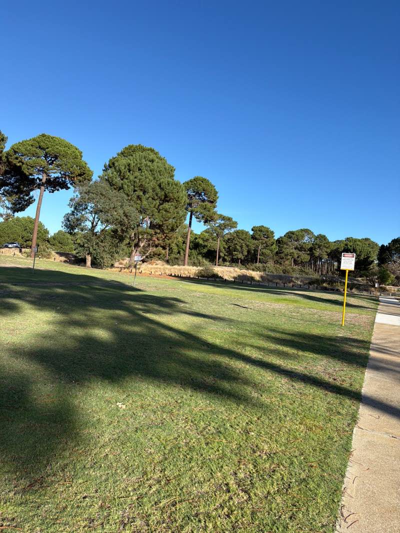 walking near me in Vaucluse Park in autumn