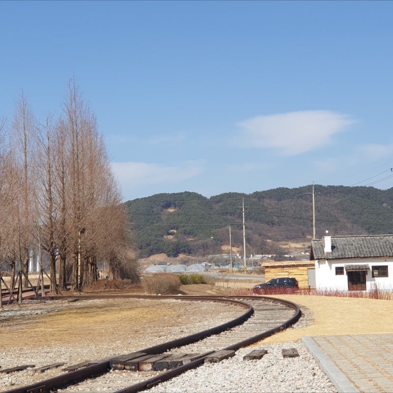송희 profile