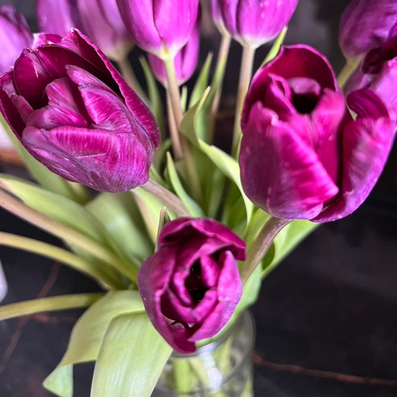 💃💃lezginka 83💃💃