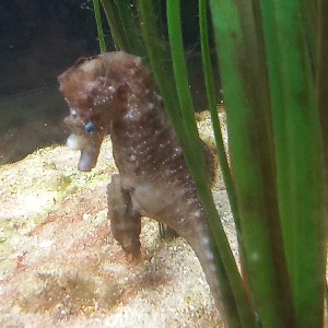 Jocelyne 🌷🌿⚘