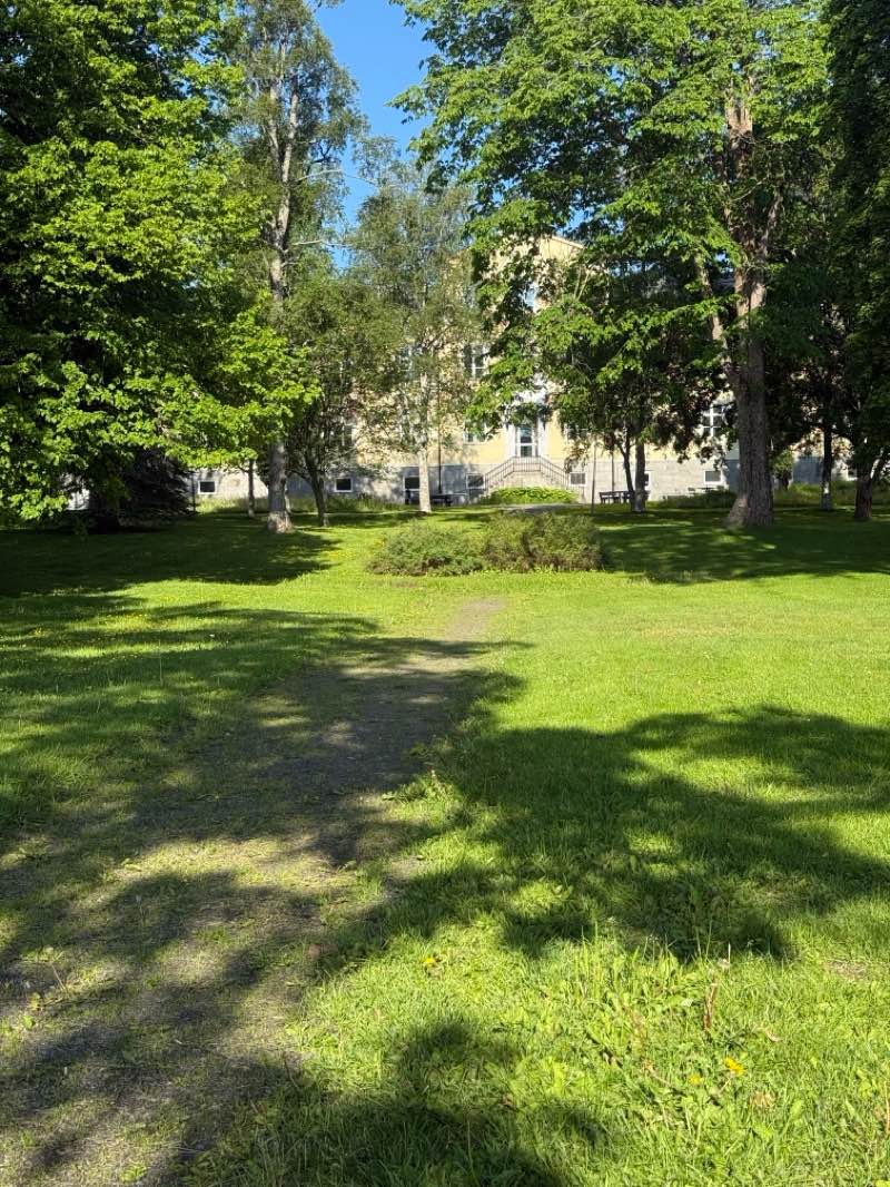 walking near me in Tullportsparken in summer