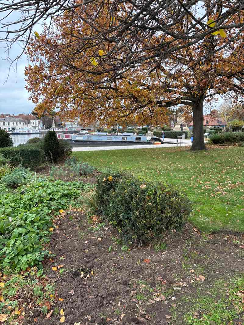 walking near me in Bancroft Gardens in autumn