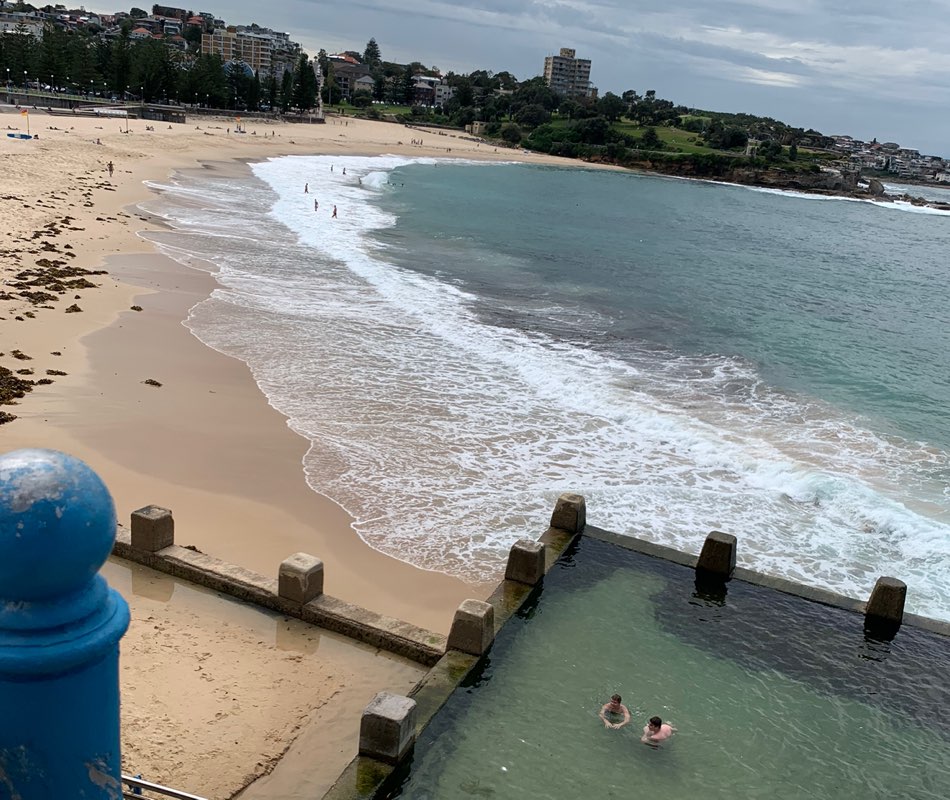 Aristotle ✌️🥀🐆