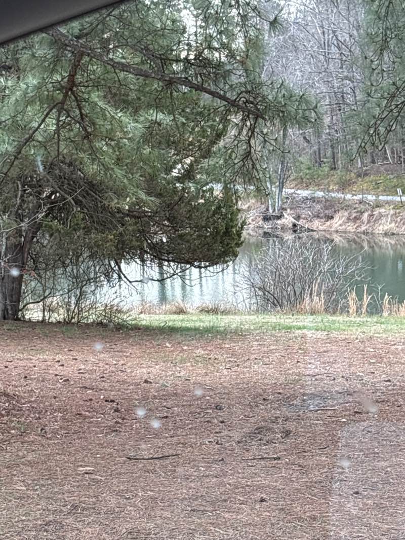 walking near me in Tilghman Park in spring