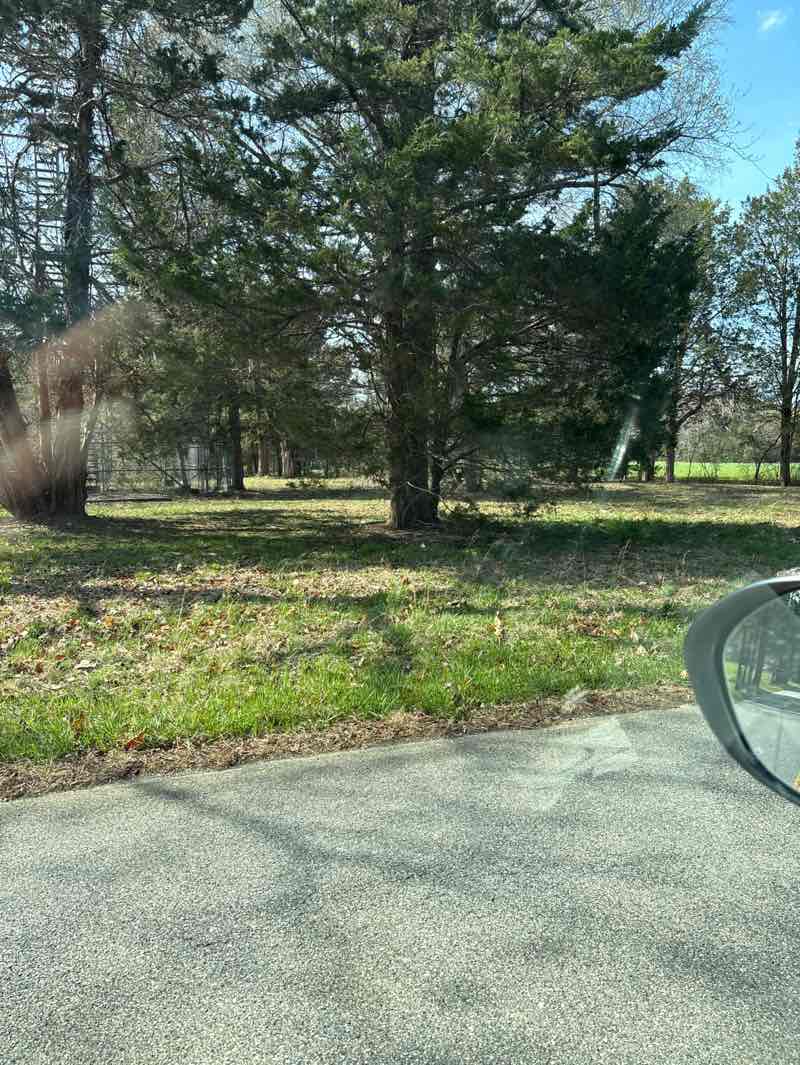 walking near me in Welcome Fire Tower in spring