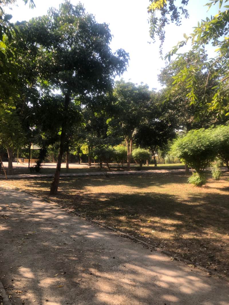 walking near me in F-11/2 Park in autumn