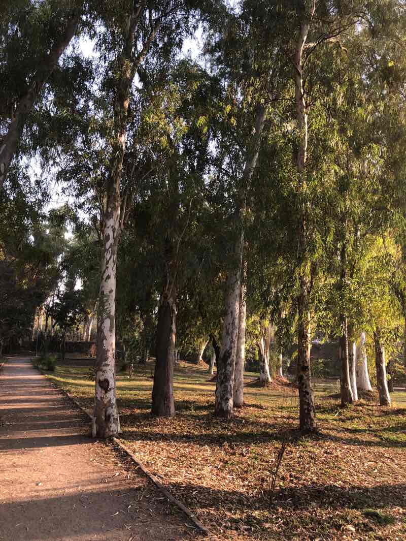 walking near me in F-10/2 Park in winter