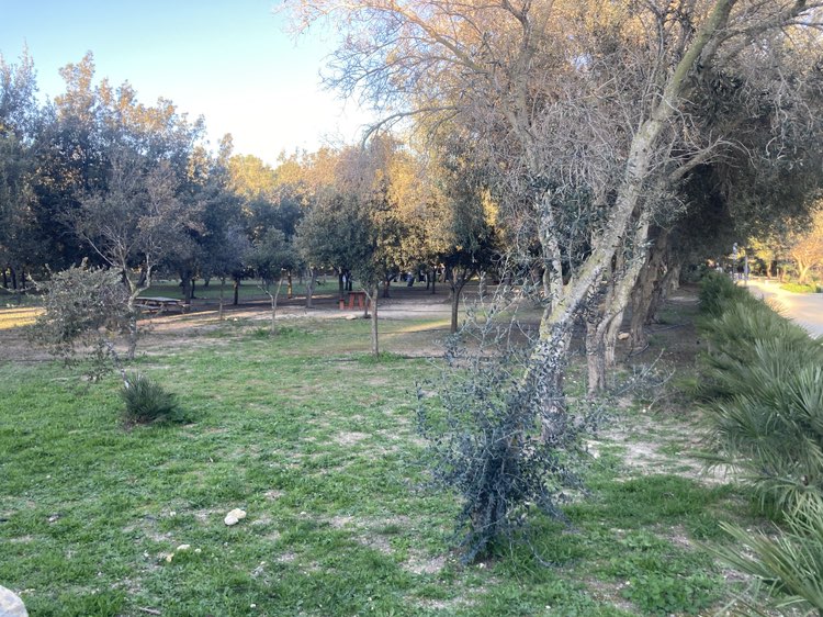 walking near me in Ta' Qali National Park in winter