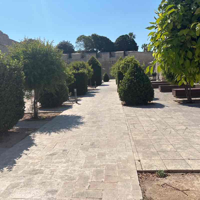 Ray 🇲🇹 post 1