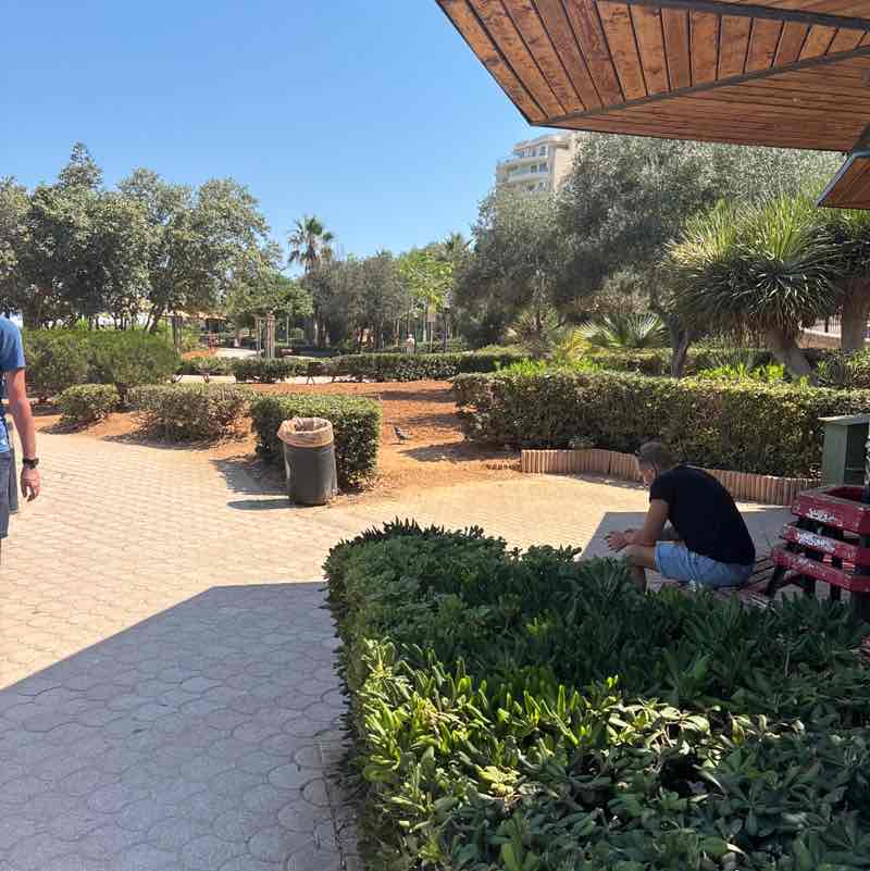 Ray 🇲🇹 post 1