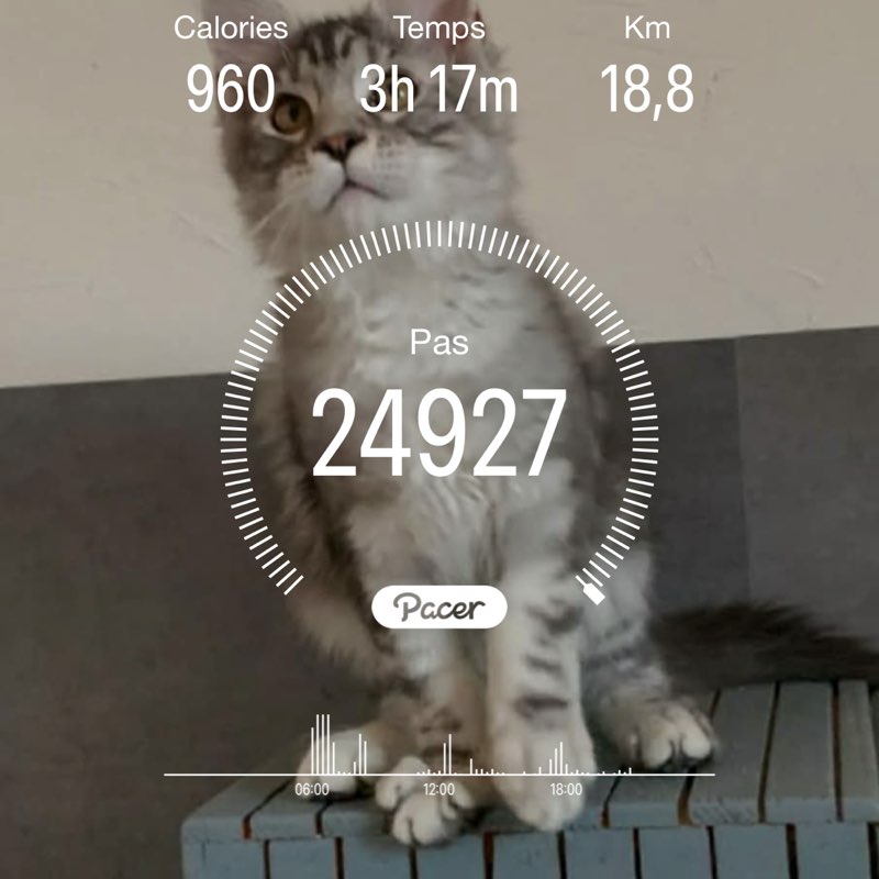 juju51 post 1