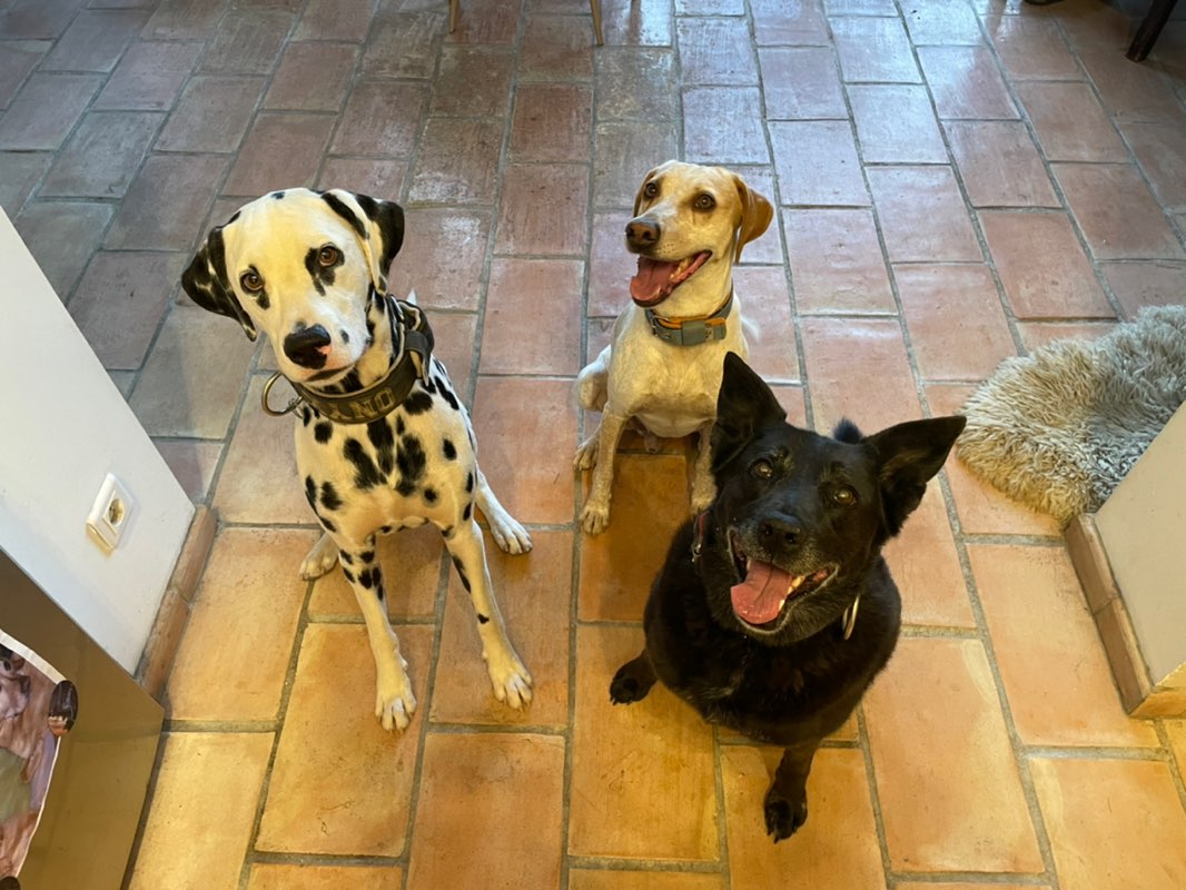 Kirikou 🇫🇷🇧🇪🇪🇸