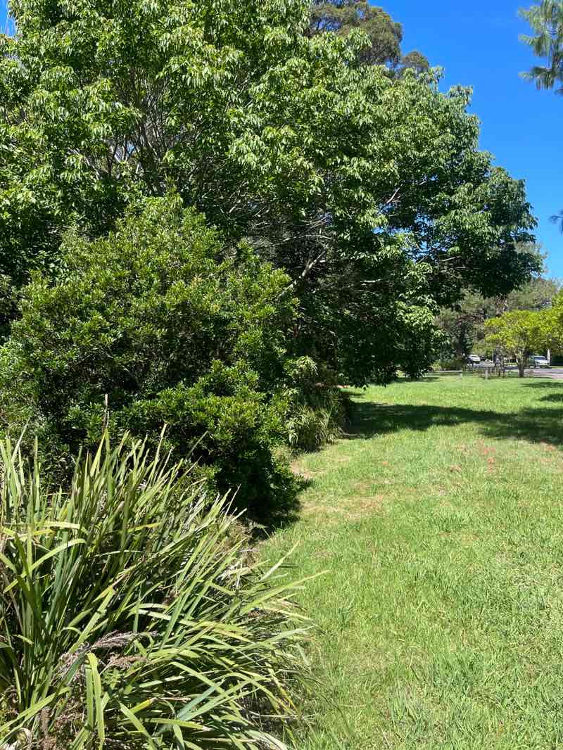 walking near me in Princess Park in summer
