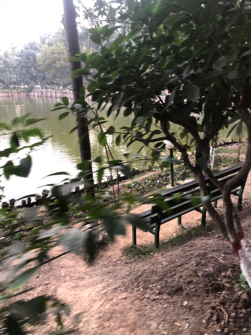 walking near me in Sector 4 Park in winter