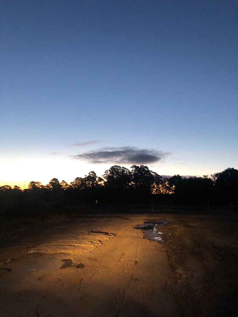 walking near me in Tony Onions Memorial Park in spring