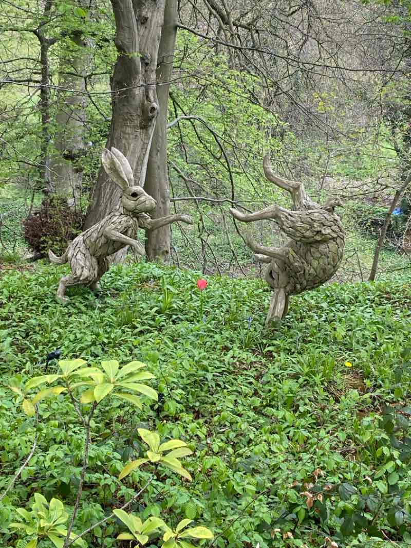 walking near me in Castle Grounds in spring