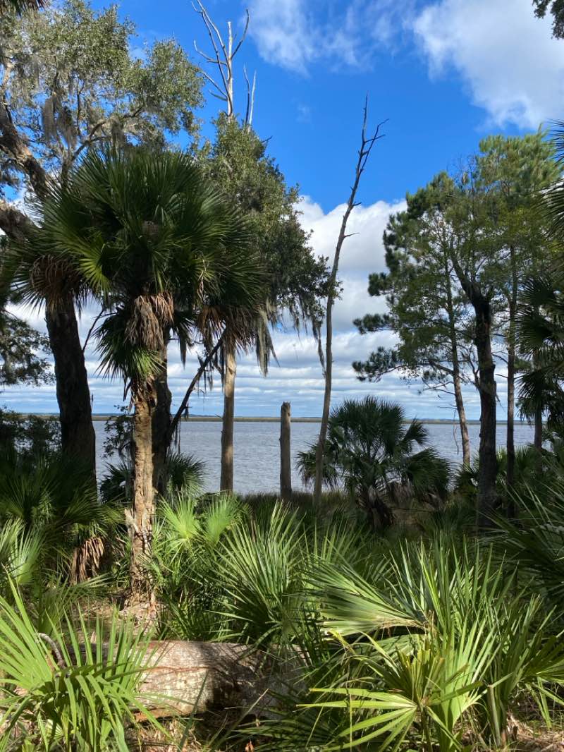walking near me in Fort McAllister State Park in autumn