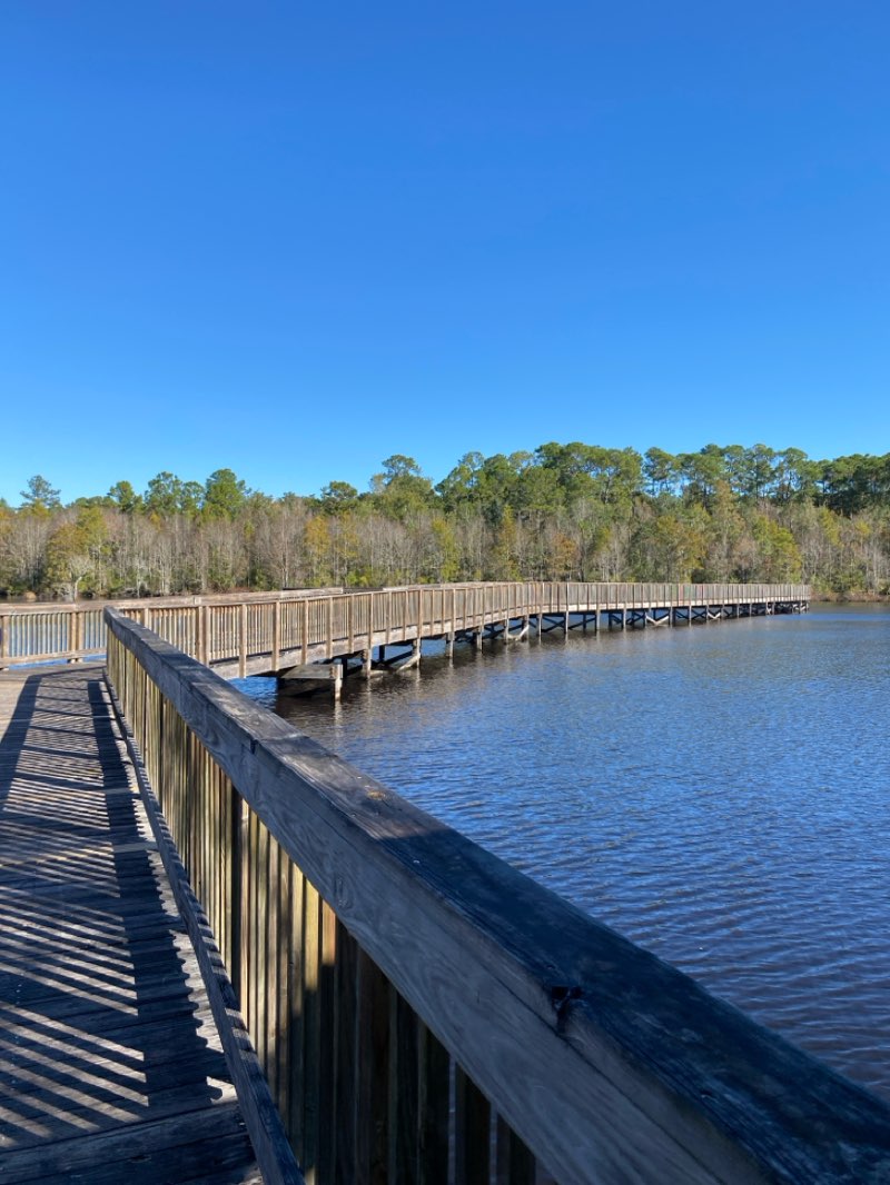 walking near me in Laura Singleton Walker State Park in autumn