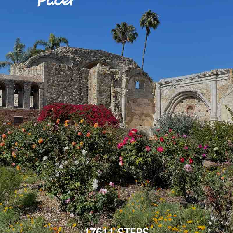 nurse4animals post 1