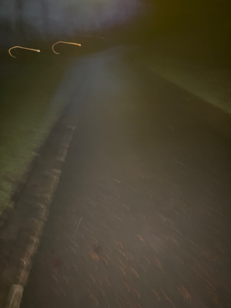 walking near me in Blackhill & Consett Park in winter