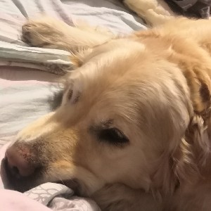 PacerДружище profile