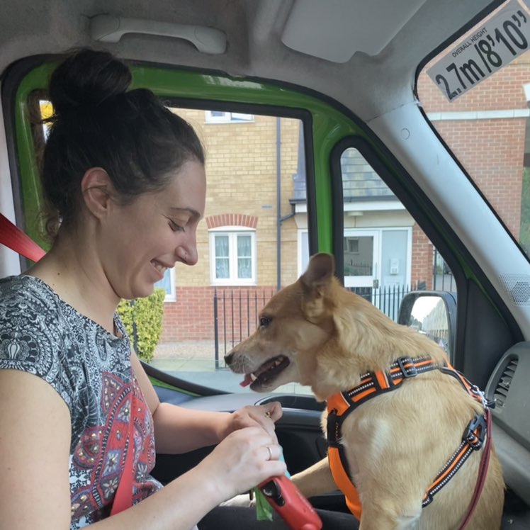 beba.zebra🐕👩🏻🍀🌼🏴󠁧󠁢󠁥󠁮󠁧󠁿🇬🇧🇮🇹