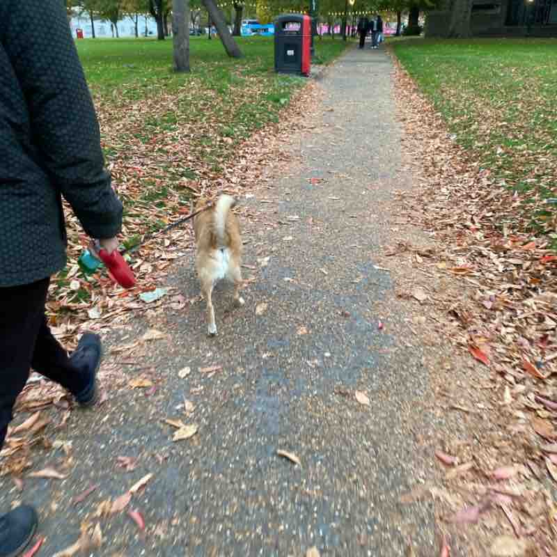 beba.zebra🐕👩🏻🍀🌼🏴󠁧󠁢󠁥󠁮󠁧󠁿🇬🇧🇮🇹 post 1