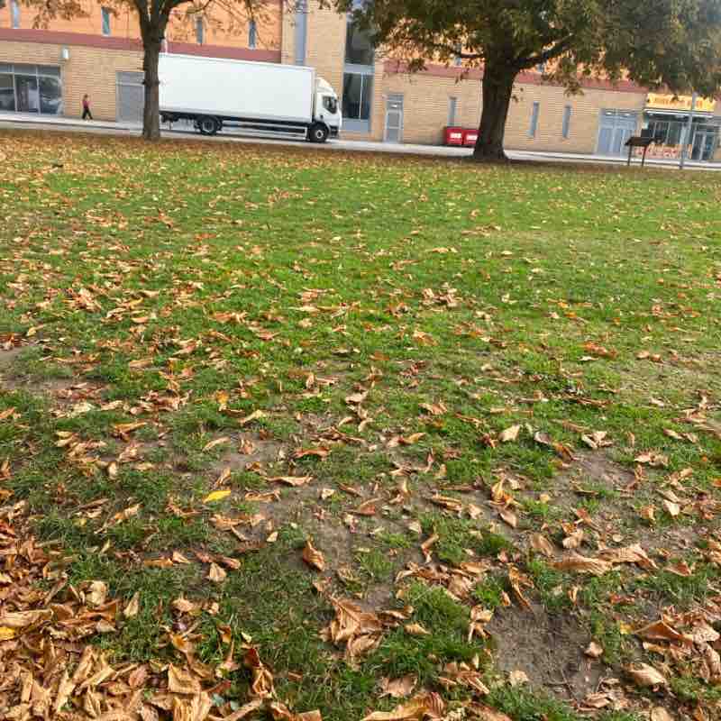 beba.zebra🐕👩🏻🍀🌼🏴󠁧󠁢󠁥󠁮󠁧󠁿🇬🇧🇮🇹 post 1