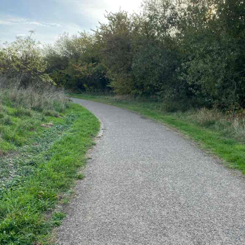 beba.zebra🐕👩🏻🍀🌼🏴󠁧󠁢󠁥󠁮󠁧󠁿🇬🇧🇮🇹 post 1