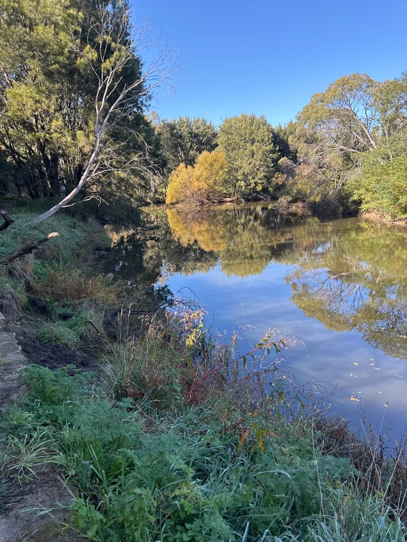 walking near me in Berima Reserve in autumn