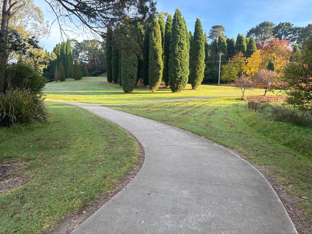 walking near me in Stanley Park in autumn