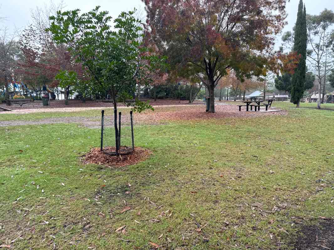 walking near me in Fagan Park in winter